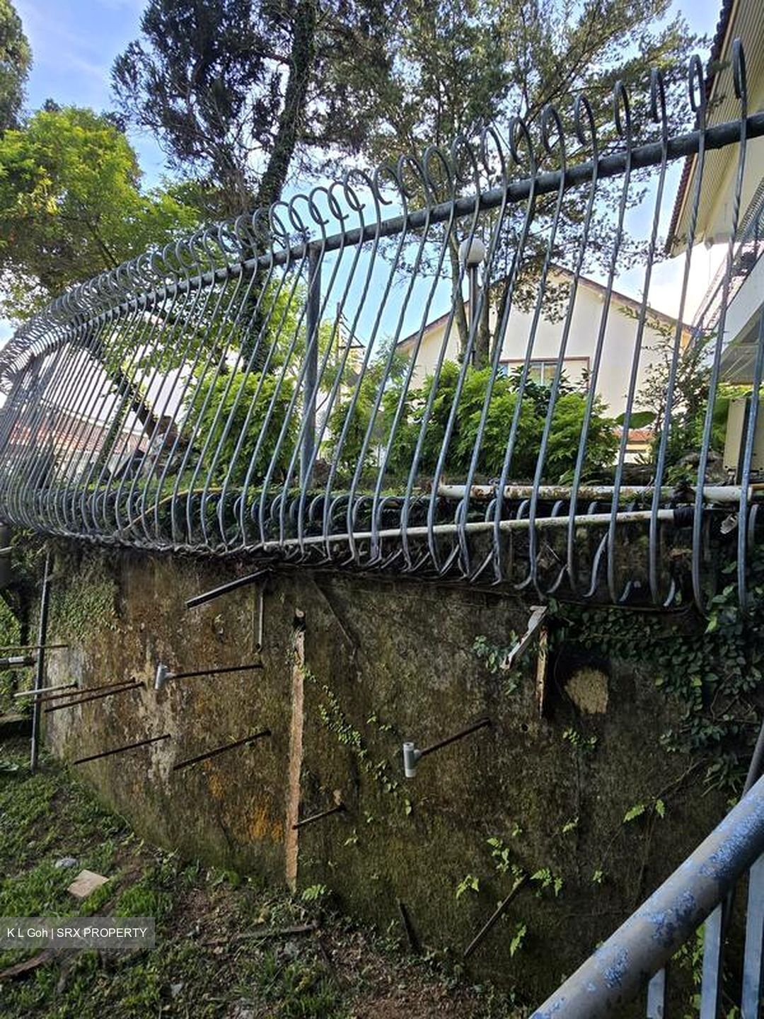 Siglap Road (D15), Detached #502296561